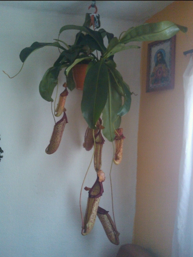 2012-01-04_12.41.05.jpg