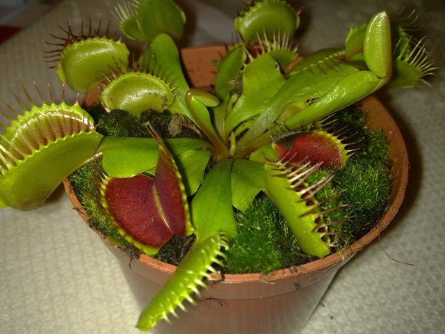 07072011049.jpg