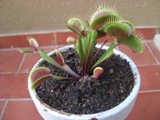 PICT0006.JPG