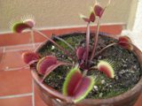 PICT0010.JPG