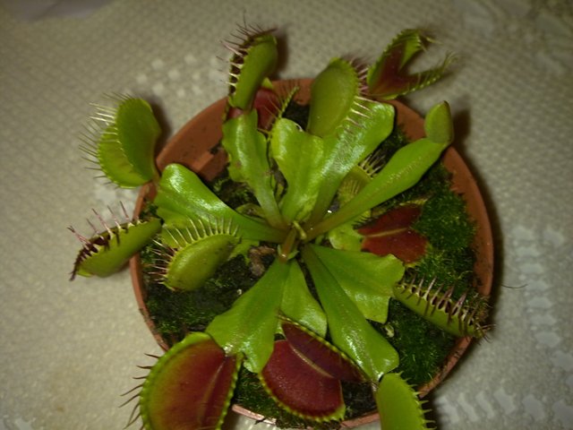 07072011050.jpg